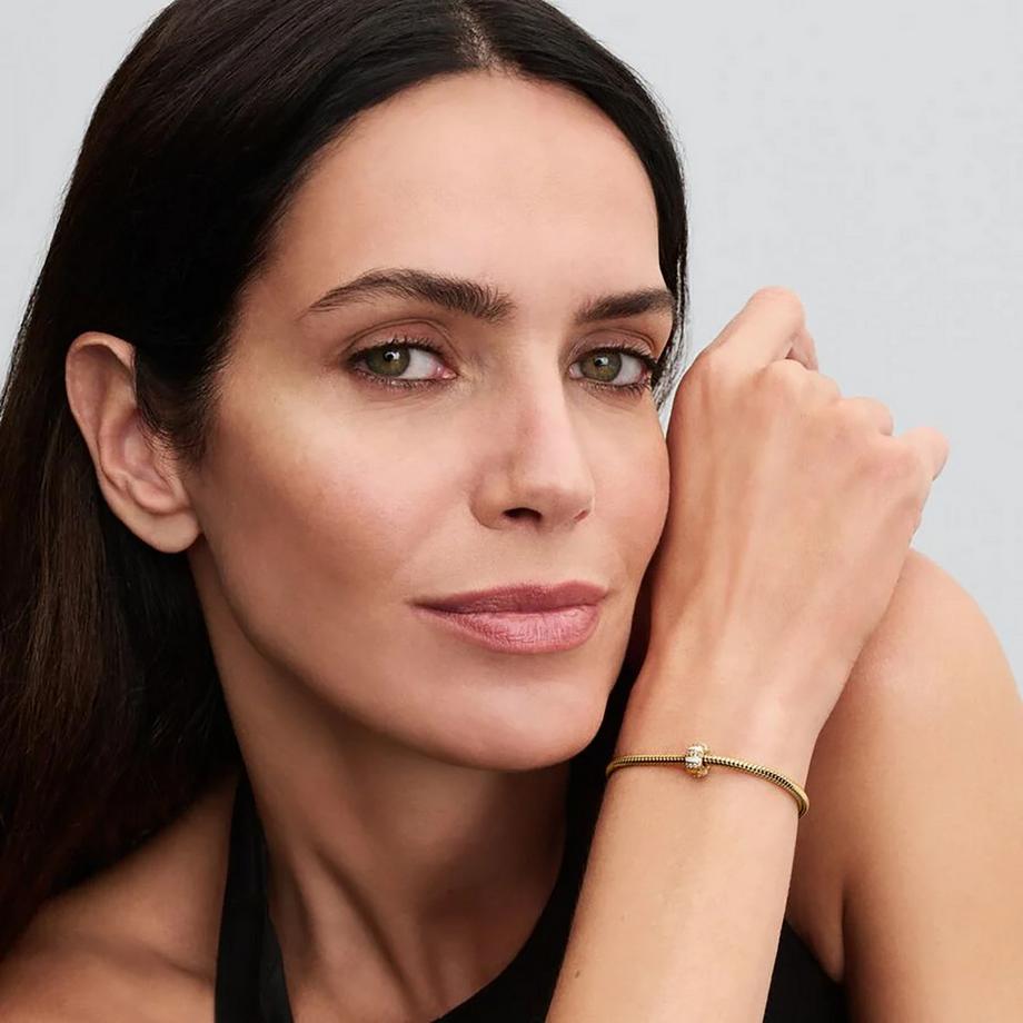 PANDORA Pandora Moments Charm 