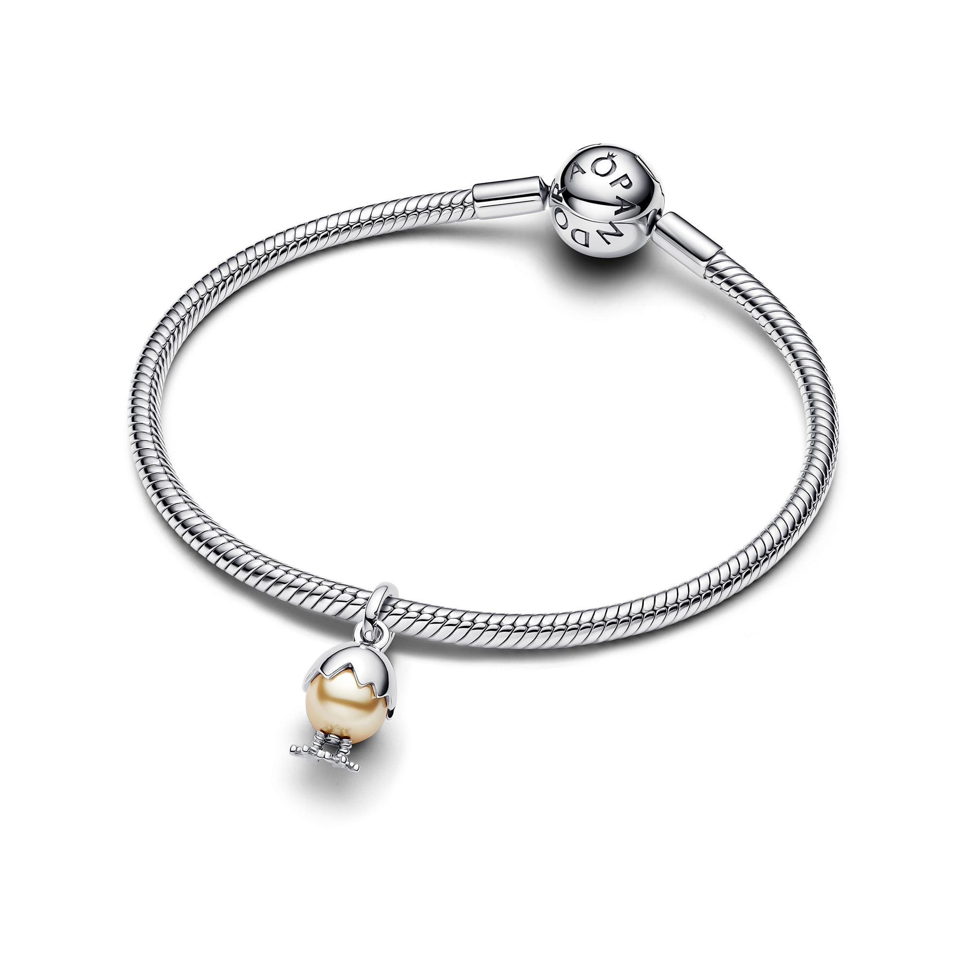 PANDORA Pandora Moments Charm 