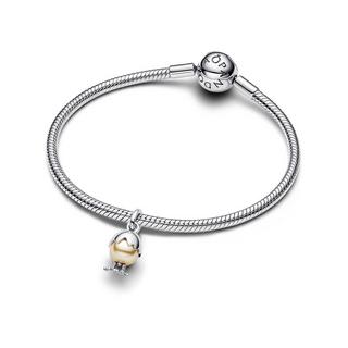 PANDORA Pandora Moments Charm 