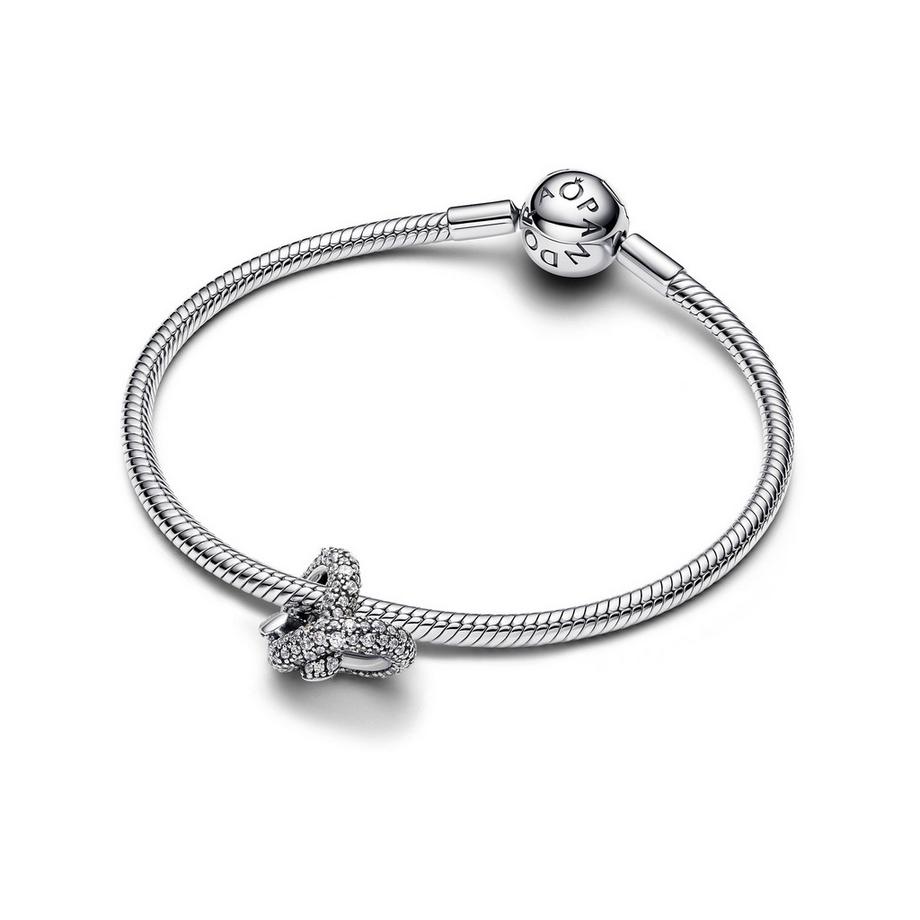 PANDORA Pandora Moments Charm 