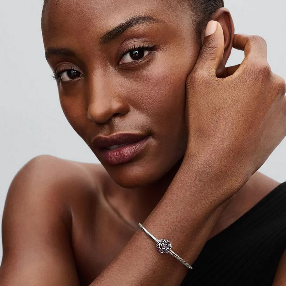 PANDORA Pandora Moments Charm 