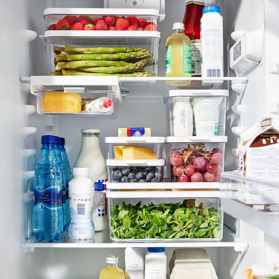 rotho Boîte pour frigo Cauma 