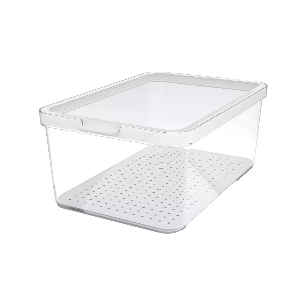 Rotho – Kühlschrankbehälter, 27X18.4X11.3CM, Transparent