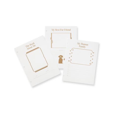 PRINTWORKS Insert Paper A Dog's Life 