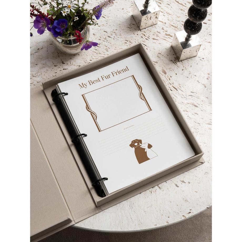 PRINTWORKS Insert Paper A Dog's Life 