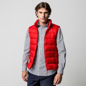 Daunengilet