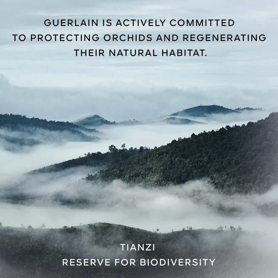 Guerlain  Orchidée Impériale La Mousee En Crème 