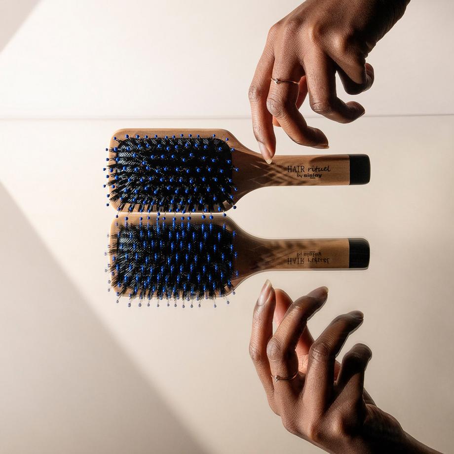 sisley  La Petite Brosse Brillance & Douceur 