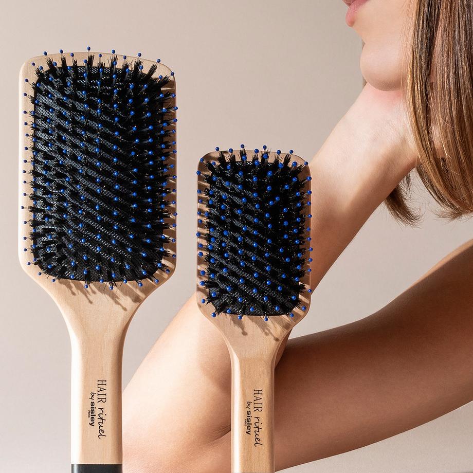 sisley  La Petite Brosse Brillance & Douceur 