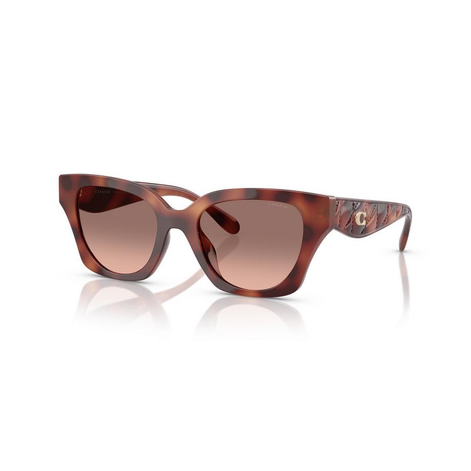 COACH Lunettes de soleil  