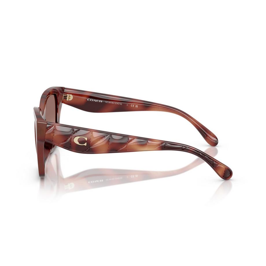 COACH Lunettes de soleil  