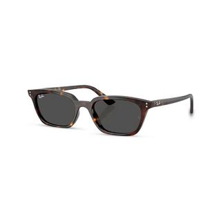 Ray Ban Zaya Bio-based RB4456 Sonnenbrille  