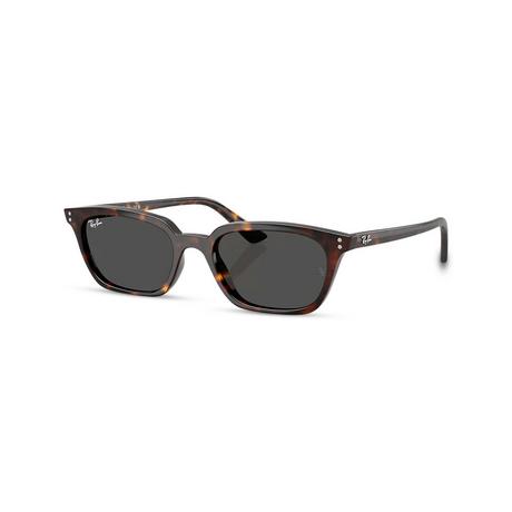 Ray Ban Zaya Bio-based RB4456 Sonnenbrille  
