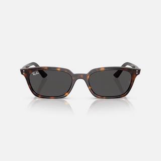 Ray Ban Zaya Bio-based RB4456 Sonnenbrille  
