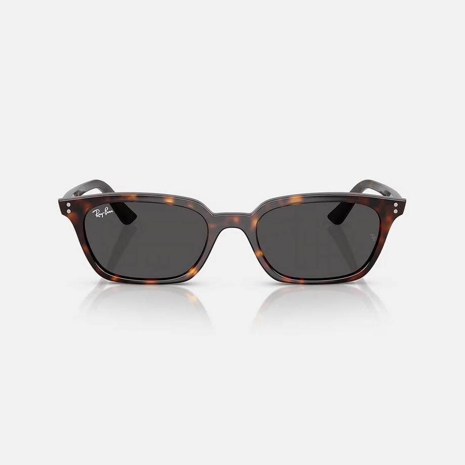 Ray-Ban Zaya Bio-based RB4456 Quadratische Sonnenbrille  