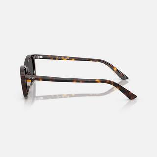 Ray Ban Zaya Bio-based RB4456 Sonnenbrille  