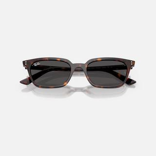 Ray Ban Zaya Bio-based RB4456 Sonnenbrille  