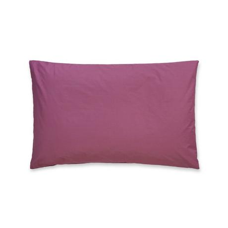 Manor Percalle Uni Federa del cuscino  