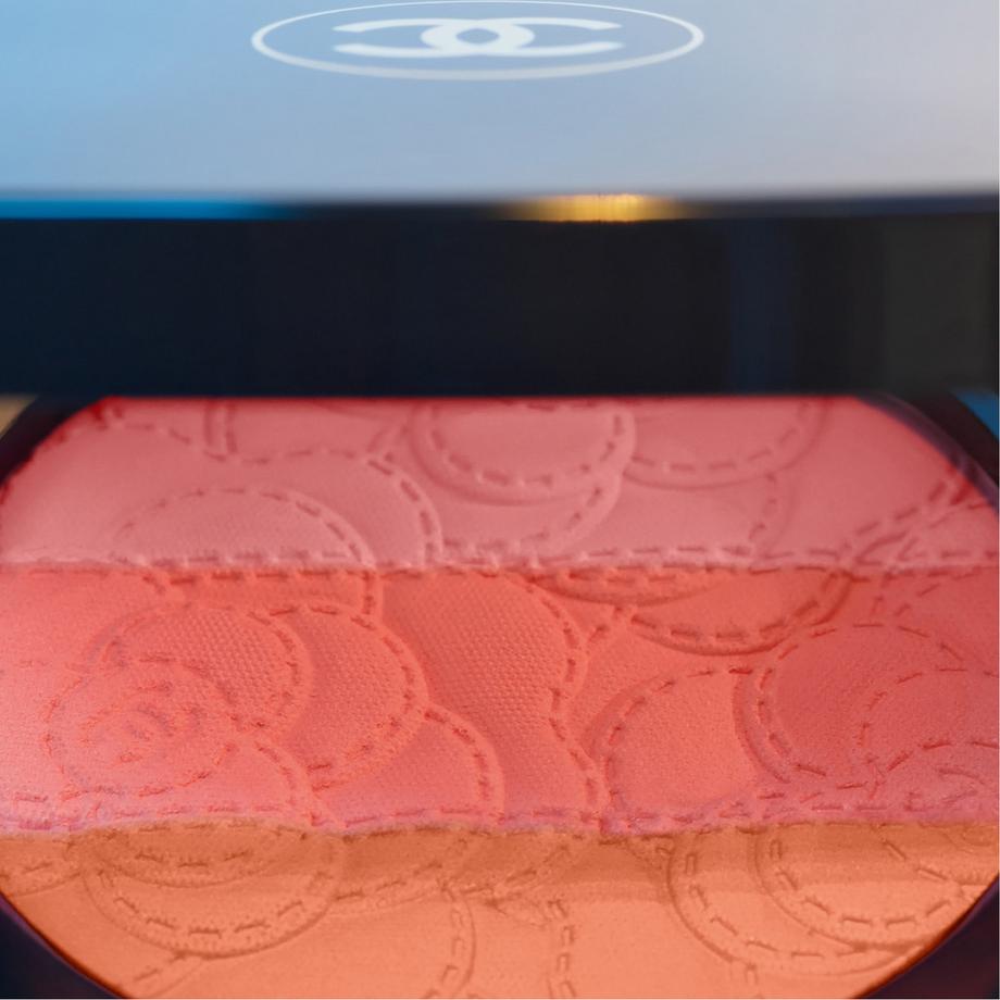 CHANEL CAMÉLIA FUTURA PUDERROUGE-TRIO 
