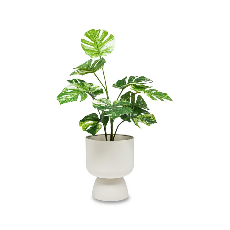 Pot de fleurs