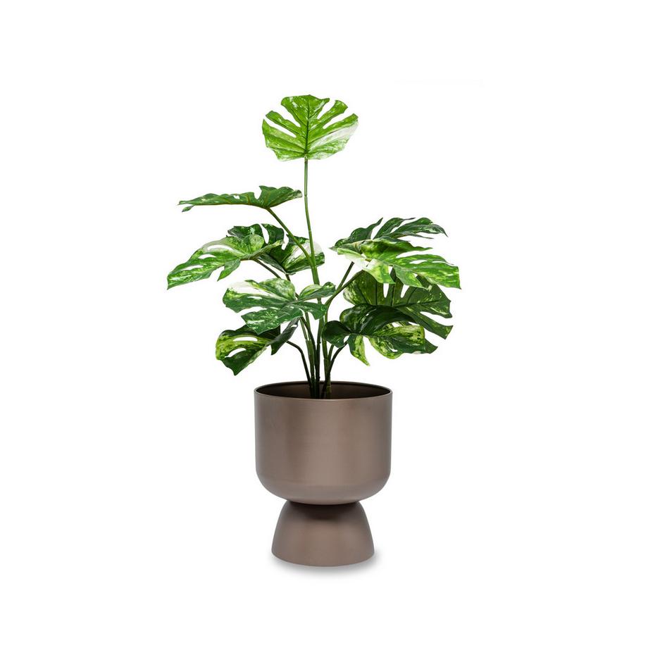 Manor Blumentopf Herbal 