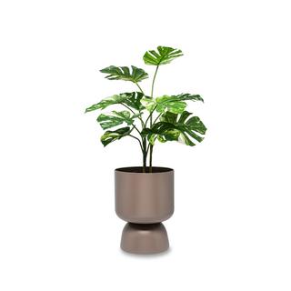 Manor Pot de fleurs Herbal 