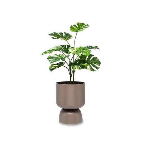 Manor Pot de fleurs Herbal 