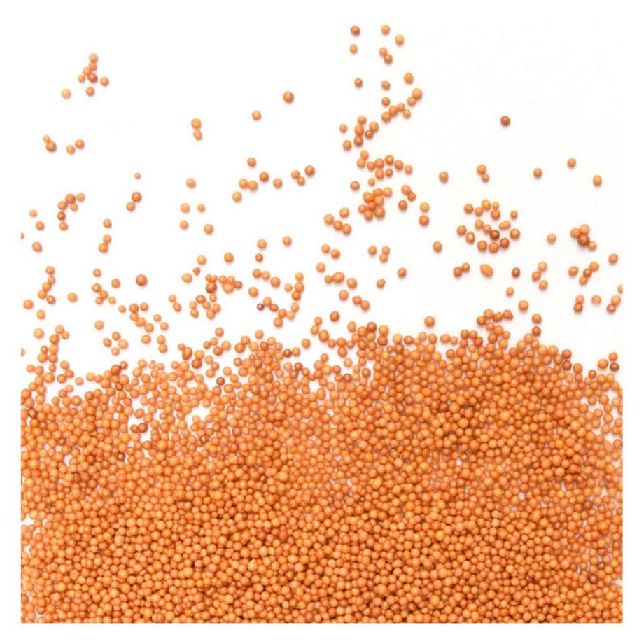 ScrapCooking Sucre de décoration Perles 