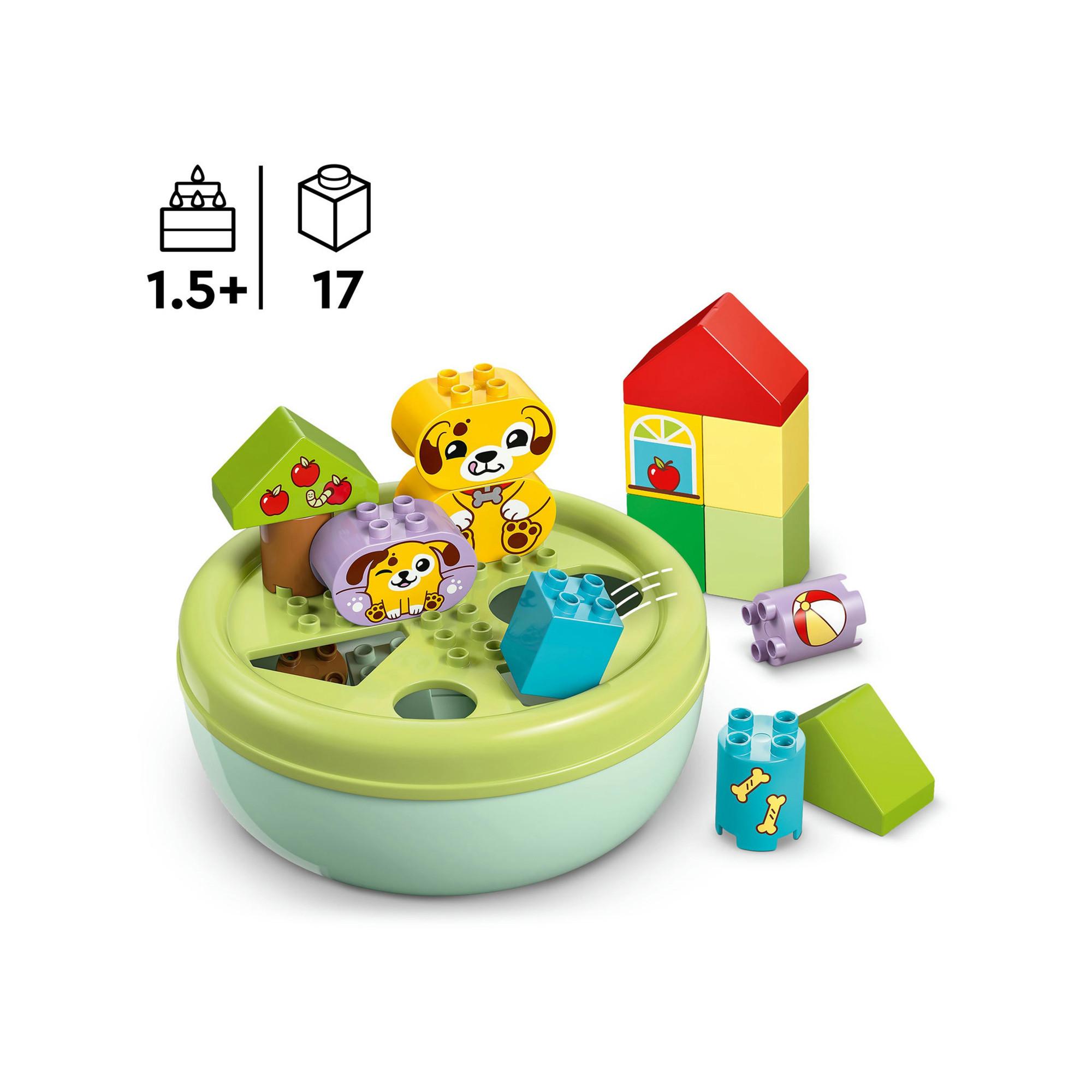 LEGO®   10441 Smista-forme: casetta del cucciolo 