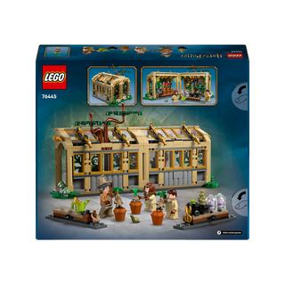 LEGO®  76445 Le château de Poudlard : le cours de botanique 