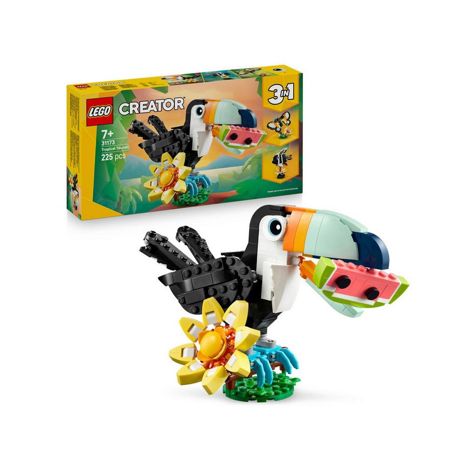 31173 Animaux sauvages : le toucan tropical