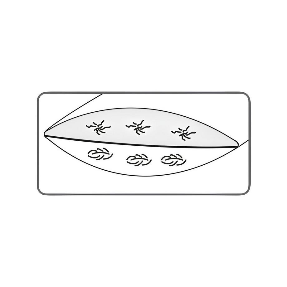 DOR Sartons Cuscino a 2 camere  