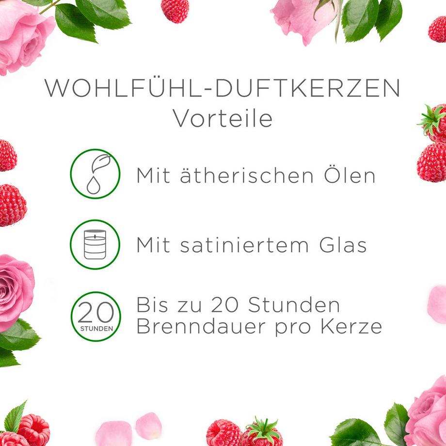 AIR WICK Duftkerze Raspberry Rose Splash 