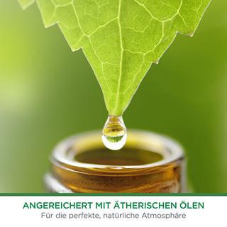 AIR WICK Ricarica freshmatic Raspberry Rose Splash 