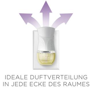 AIR WICK Recharge huile parfumée Bergamotte & Lavendel 