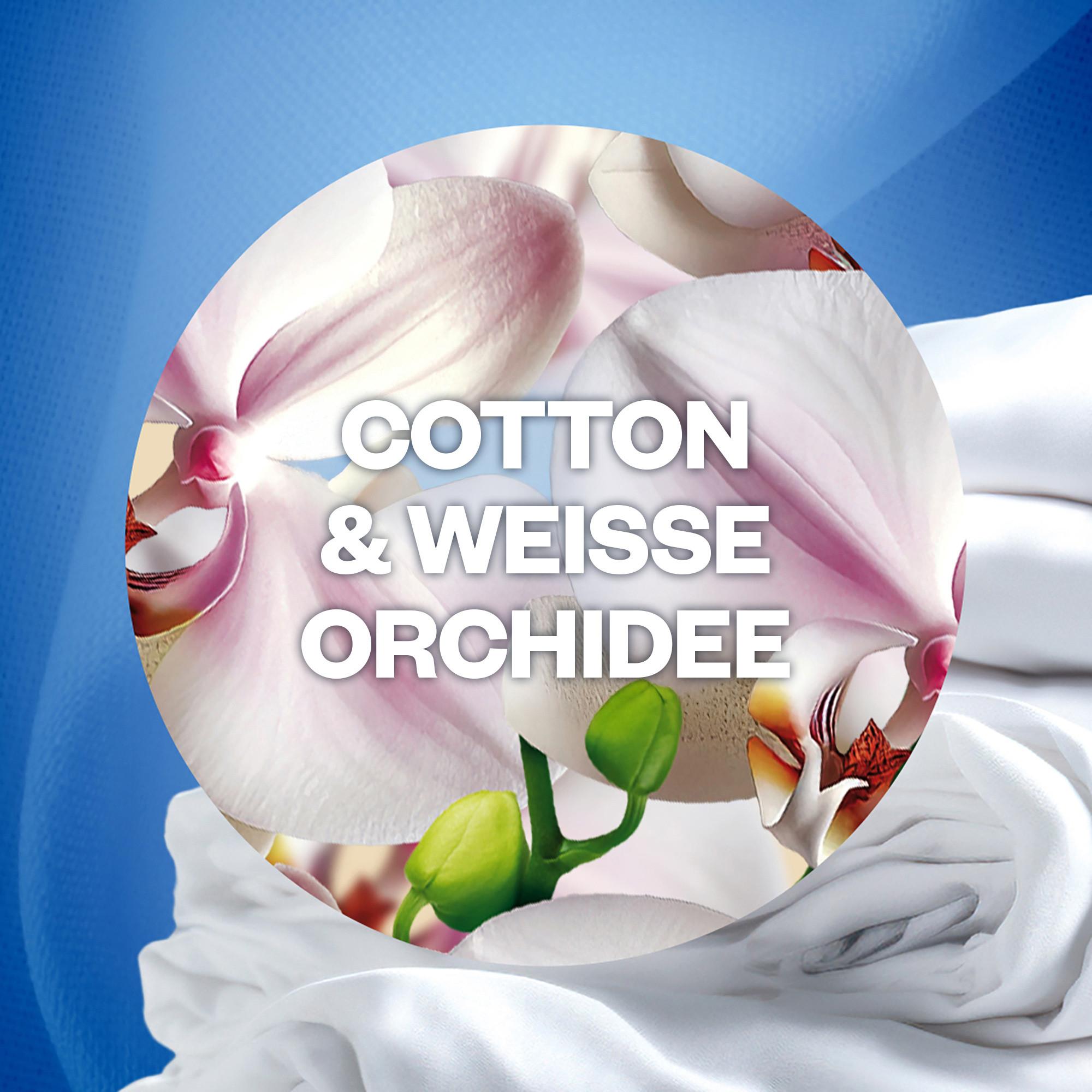 AIR WICK Ricarica olio profumato Cotton & White orchid 