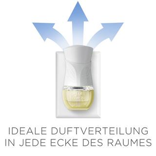 AIR WICK Ricarica olio profumato Cotton & White orchid 