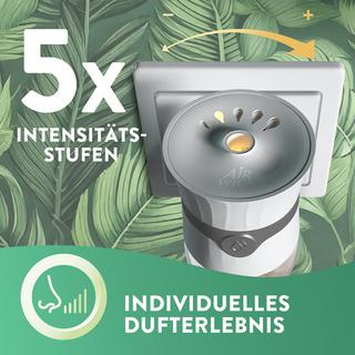 AIR WICK Diffusore di olio profumato Cherry blossom & raspberry 