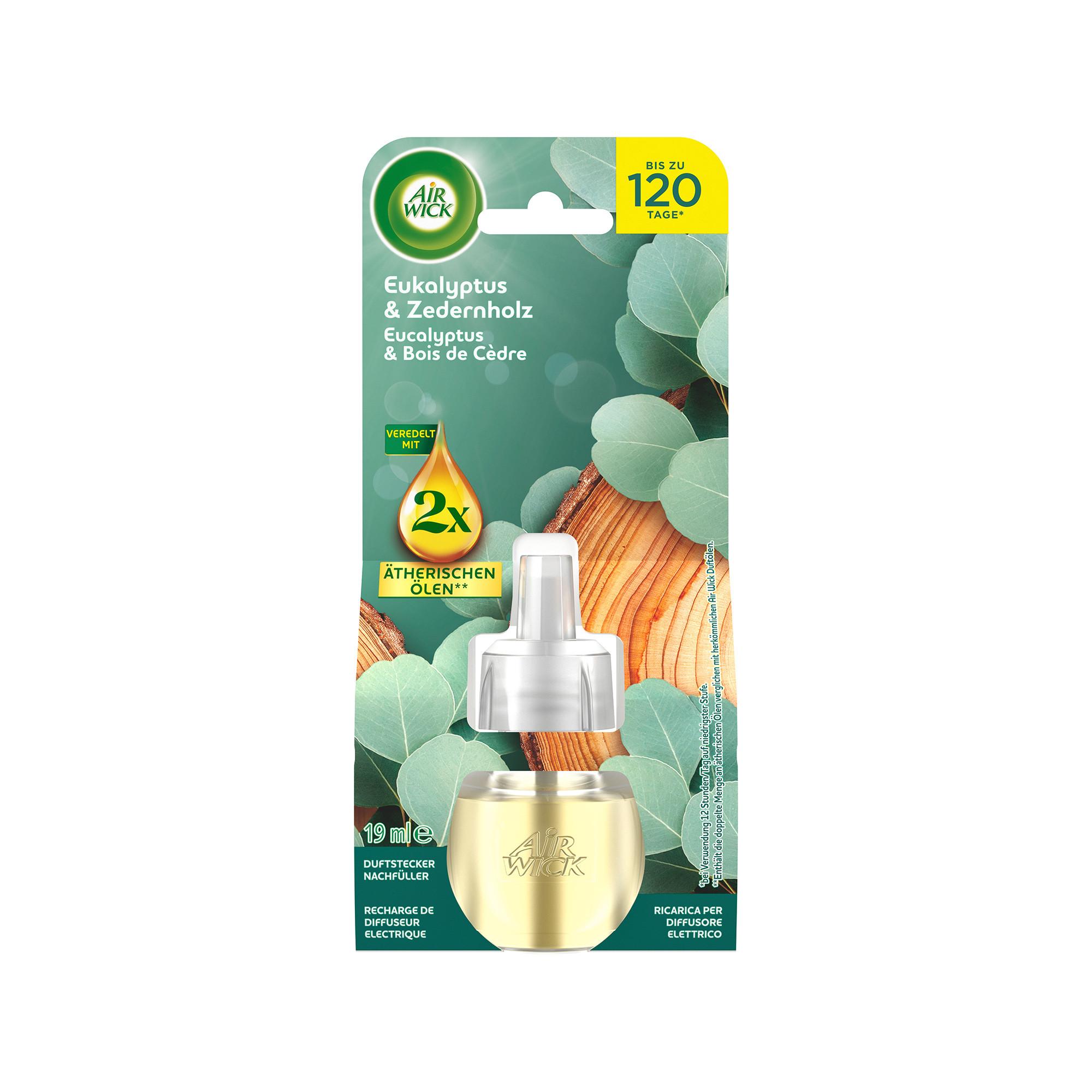 AIR WICK Ricarica olio profumato Eucalyptus & cedarwood 