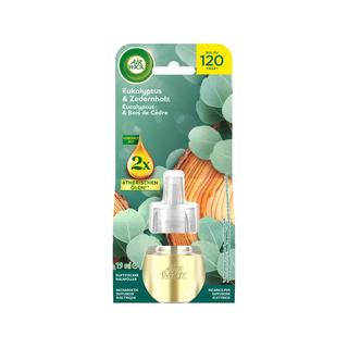 AIR WICK Ricarica olio profumato Eucalyptus & cedarwood 