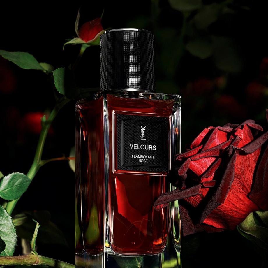 YSL   