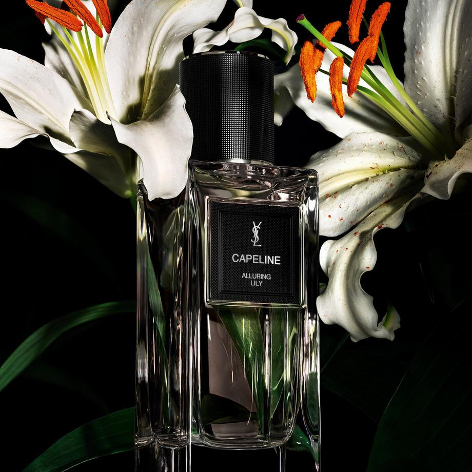 YSL   