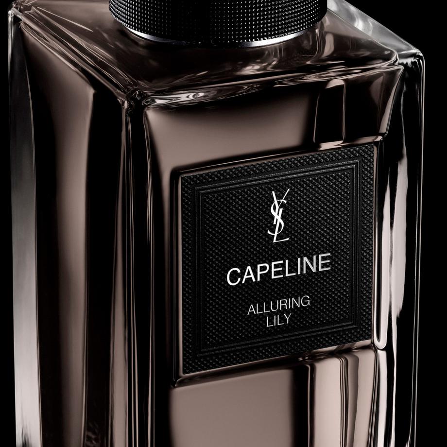 YSL   
