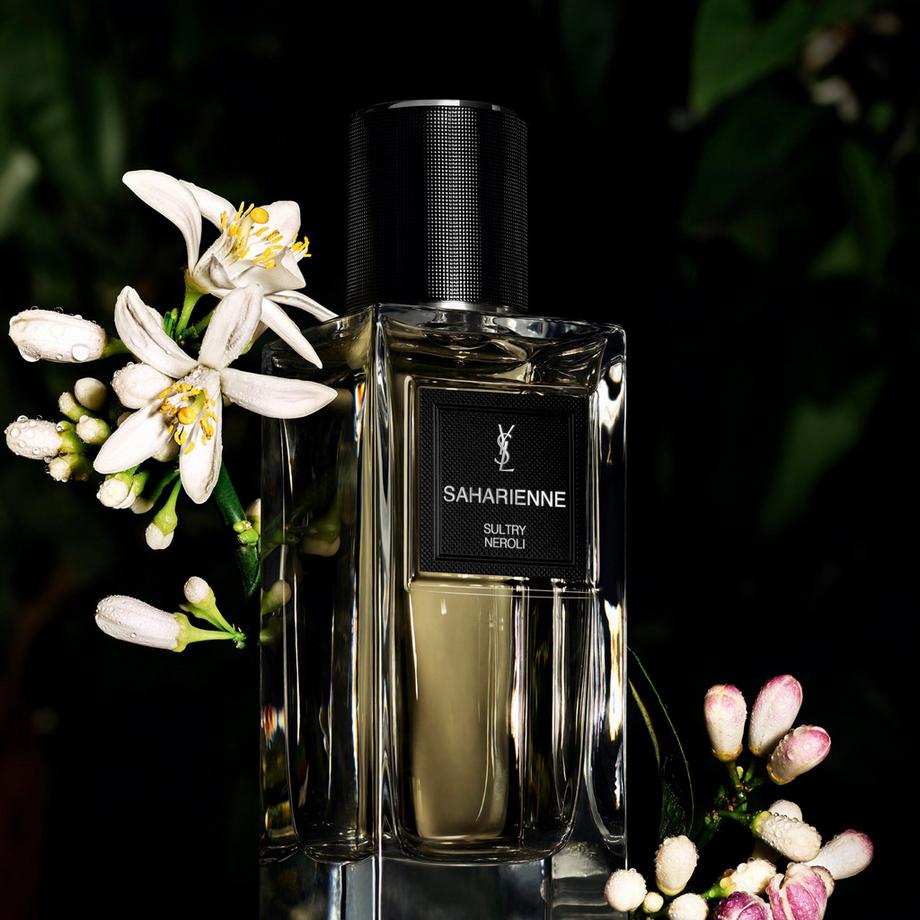 YSL   