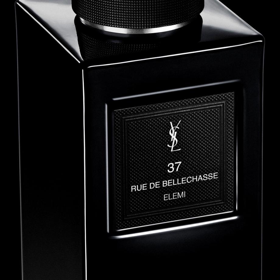 YSL   