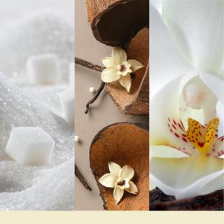 Yankee Candle Signature Duftkerze im Glas Vanilla Flurries 