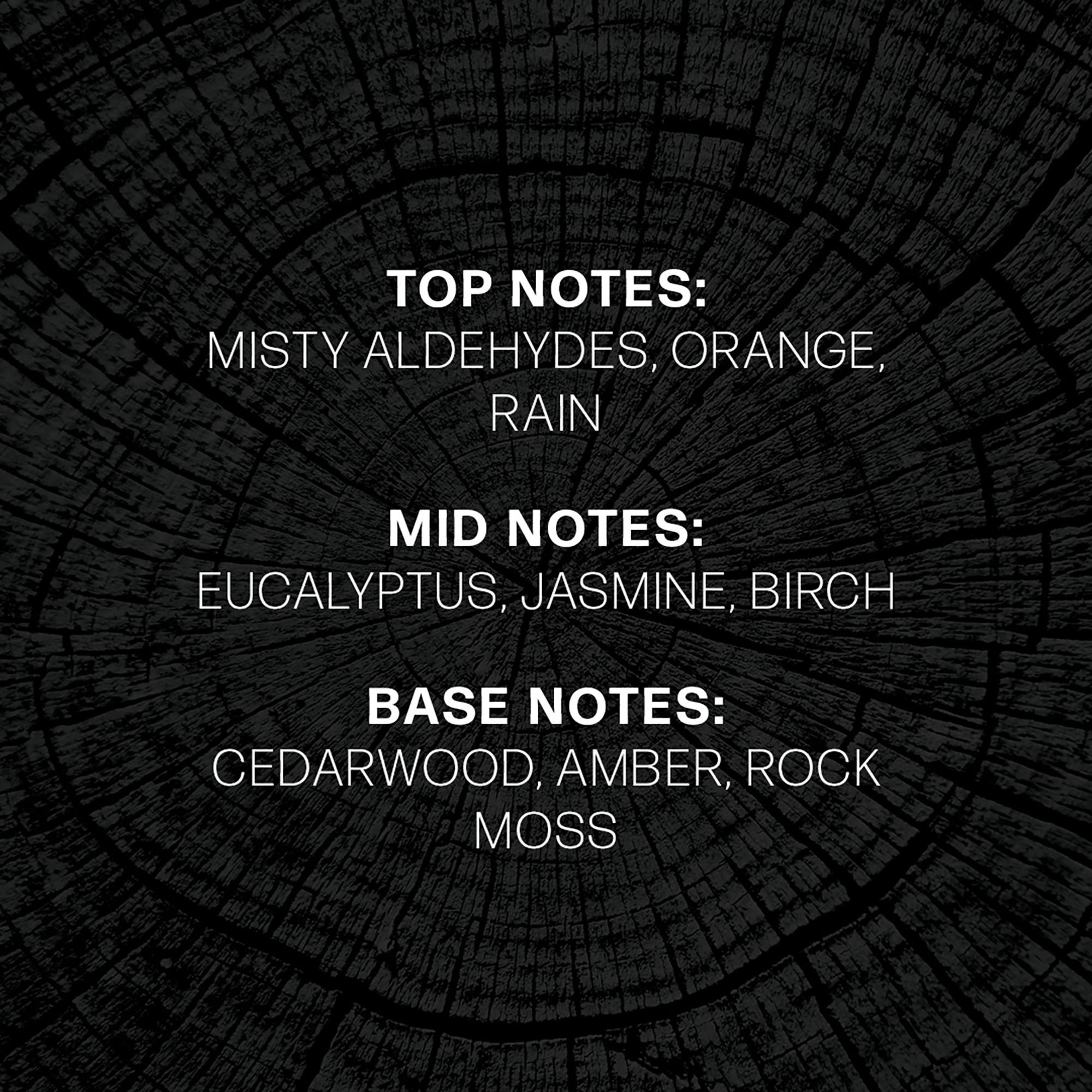 WoodWick Candela profumata in vetro Precious Metals 