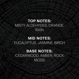 WoodWick Candela profumata in vetro Precious Metals 