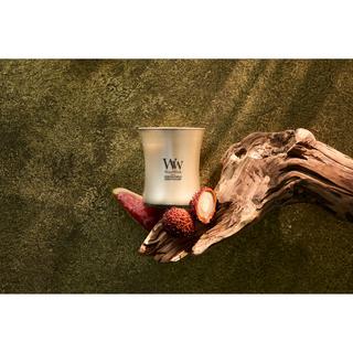 WoodWick Candela profumata in vetro Precious Metals 