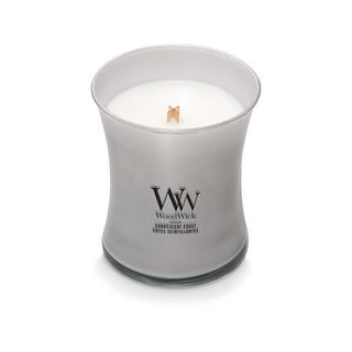 WoodWick Candela profumata in vetro Precious Metals 